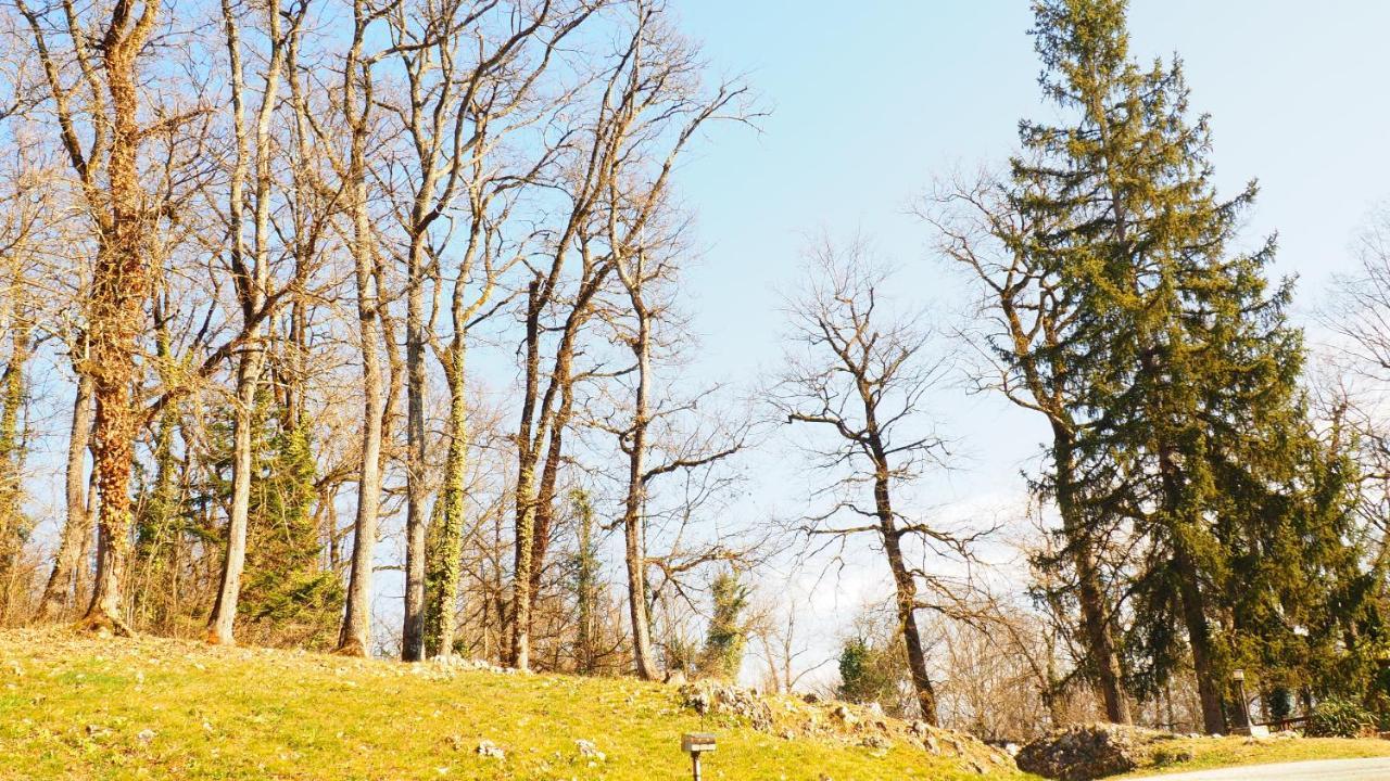 La Garenne De Morestel Екстер'єр фото